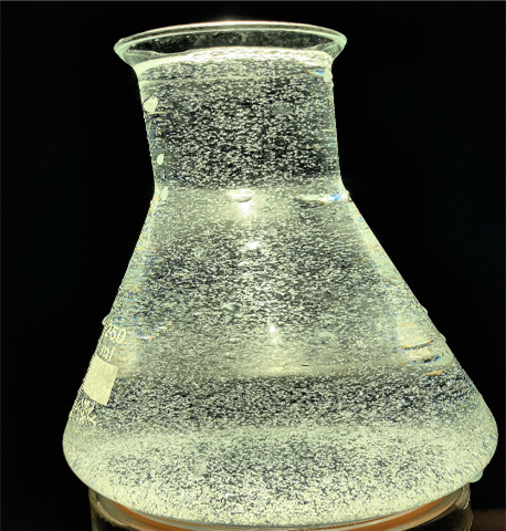 Giai Đoạn Nauplius SIS HAWAII