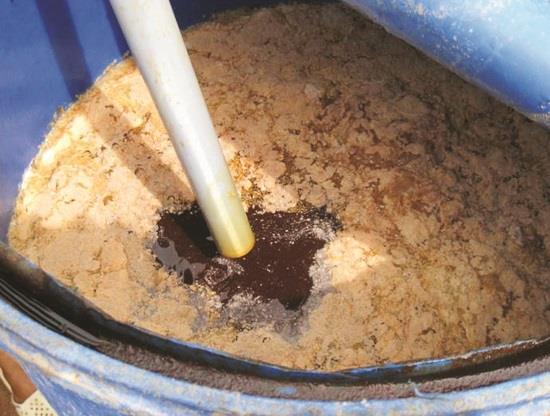 Hướng Dẫn Kỹ thuật ủ vi sinh cho nuôi tôm bằng EM gốc?
