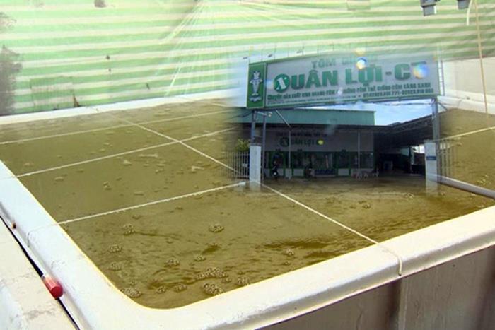 Phát hiện 9 cơ sở sản xuất tôm giống sai phạm tại Cần Thơ