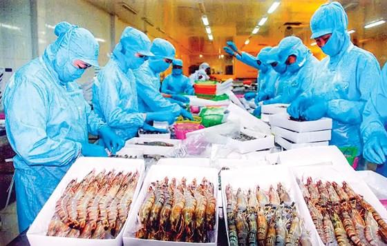 Minh Phú bị cáo buộc tránh thuế chống bán phá giá tại Mỹ